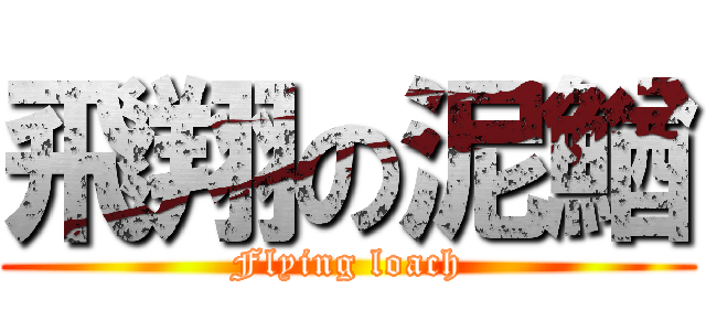 飛翔の泥鰌 (Flying loach)