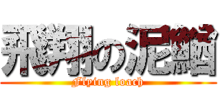 飛翔の泥鰌 (Flying loach)