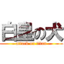 白皇の犬 (attack on titan)