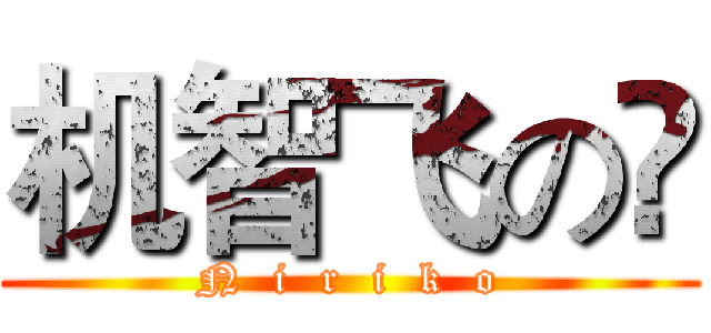 机智飞の梚 (N  i  r  i  k  o)