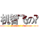 机智飞の梚 (N  i  r  i  k  o)