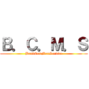 Ｂ．Ｃ．Ｍ．Ｓ (BankComMonService)