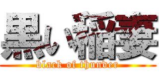 黒い稲妻 (black of thunder)
