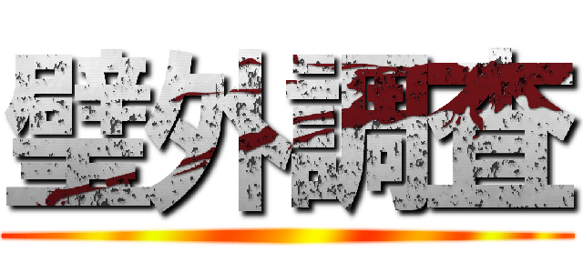 璧外調査 ()