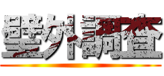 璧外調査 ()