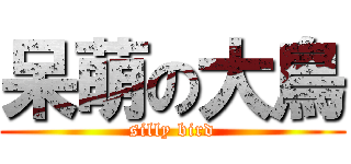 呆萌の大鳥 (silly bird)
