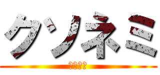 クソネミ (ｸｿﾈﾐ)