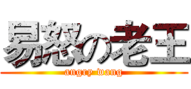 易怒の老王 (angry wang)