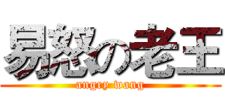 易怒の老王 (angry wang)