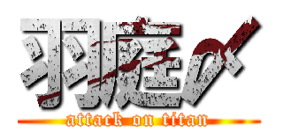 羽庭〆 (attack on titan)