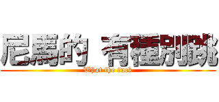 尼馬的 有種別跳 (What the fuck)