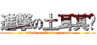 進撃の土耳其屌 (attack on Turkey penis)