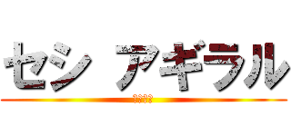 セシ アギラル (みとすい)