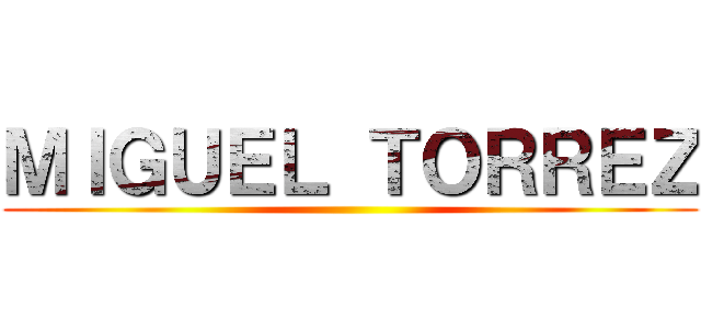 ＭＩＧＵＥＬ ＴＯＲＲＥＺ ()