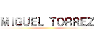 ＭＩＧＵＥＬ ＴＯＲＲＥＺ ()