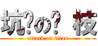 坑爹の荔 枝 (attack on titan)