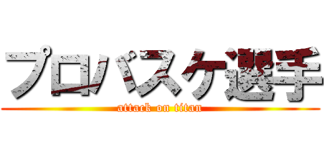 プロバスケ選手 (attack on titan)