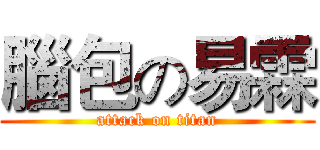 腦包の易霖 (attack on titan)