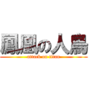 鳳凰の人鳥 (attack on titan)