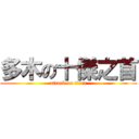 多木の十傑之首 (attack on titan)