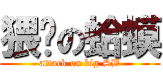 猥琐の蛤蟆 (attack on big SB)