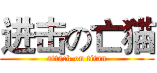 进击の亡猫 (attack on titan)
