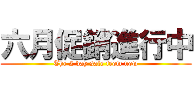 六月促銷進行中 (The 2 day sale from now)