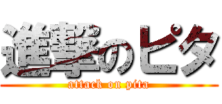 進撃のピタ (attack on pita)