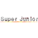 Ｓｕｐｅｒ Ｊｕｎｉｏｒ (永遠的13+2)