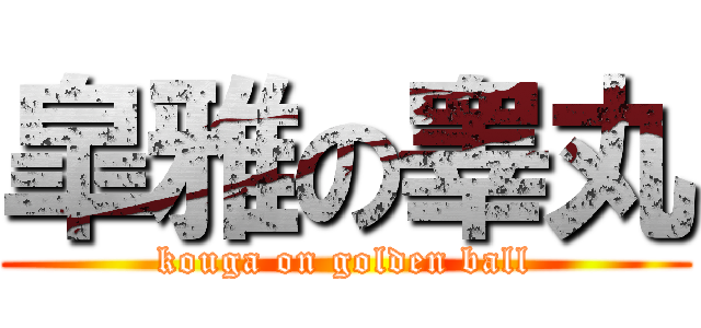 皐雅の睾丸 (kouga on golden ball)