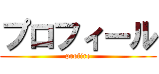 プロフィール (profire)