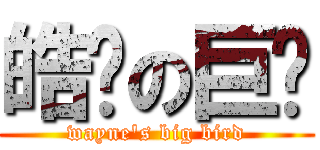 皓瑋の巨屌 (wayne\'s big bird)