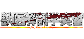 獣医解剖学実習 (attack on beagle)