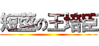 短莖の王培臣 ()