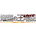短莖の王培臣 ()