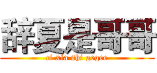 辞夏是哥哥 (ci xia shi gegee)