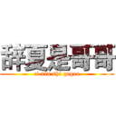 辞夏是哥哥 (ci xia shi gegee)
