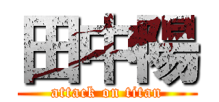 田中陽 (attack on titan)