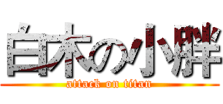 白木の小胖 (attack on titan)