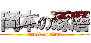 岡本の琢磨 (attack on titan)