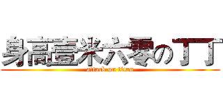 身高壹米六零の丁丁 (attack on titan)