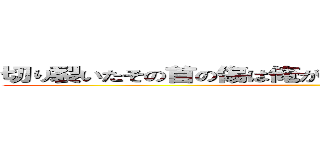 切り裂いたその首の傷は俺が居た人間世界の悲惨の線 ()