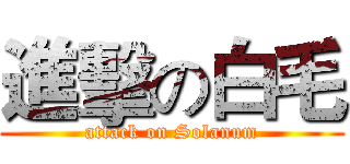進擊の白毛 (attack on Solanum)
