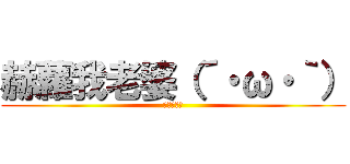 赫蘿我老婆（´・ω・｀） (不要起爭議)