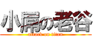 小屌の老谷 (attack on titan)