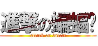 進撃の蝙蝠貓 (attack on batcat)