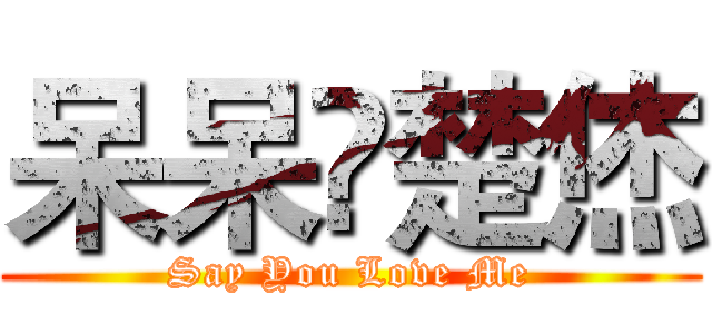 呆呆ä楚烋 (Say You Love Me)