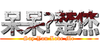 呆呆ä楚烋 (Say You Love Me)