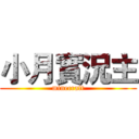 小月實況主 (minecraft)