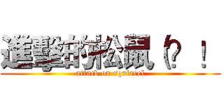 進擊的松鼠（？！ (attack on squirrel)